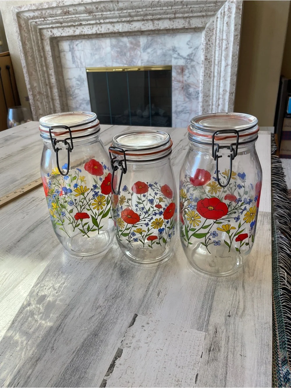 Vintage Floral Canister Jars with Red Poppy Design R Carman Arc France Set of 3